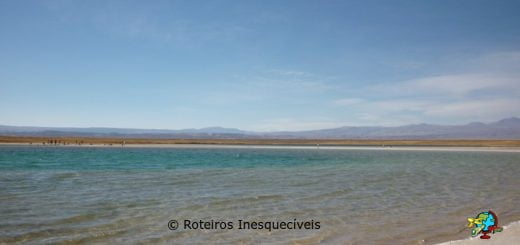 Laguna Cejar - Deserto do Atacama