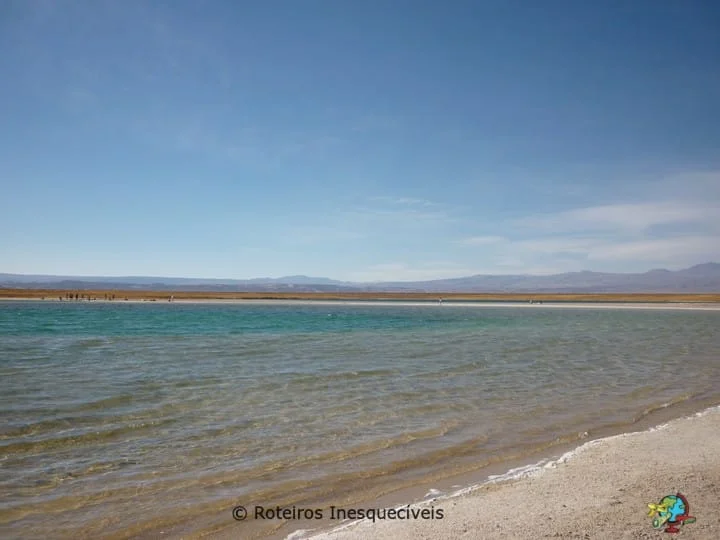 Laguna Cejar - Deserto do Atacama