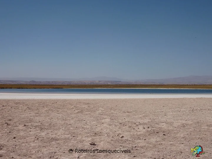 Laguna Cejar - Deserto do Atacama
