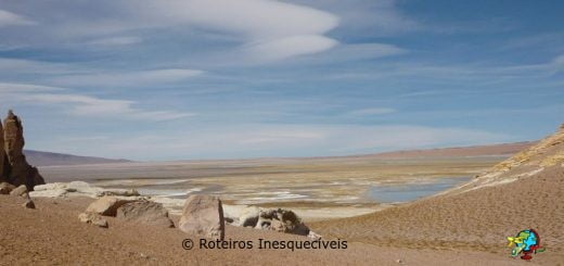 Salar de Tara - Deserto do Atacama
