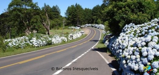 Estrada - Nova Petropolis - Gramado