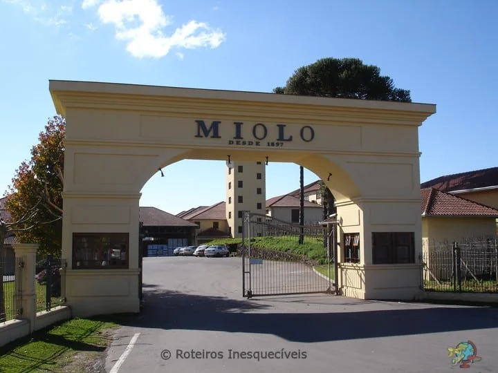 Miolo - Vale dos Vinhedos - Bento Goncalves