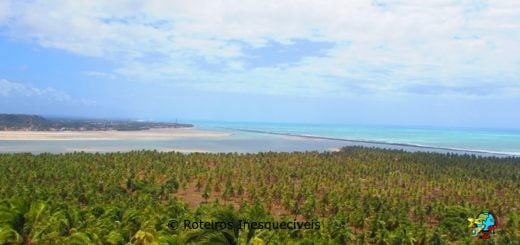 Praia do Gunga - Litoral Sul - Maceio - Alagoas
