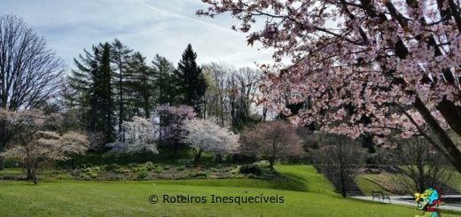 Jardim Botanico - Gotemburgo - Suecia