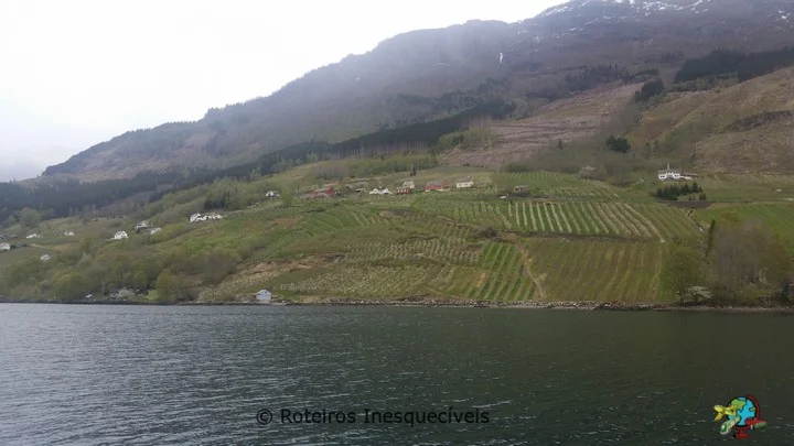Hardangerfjord - Noruega