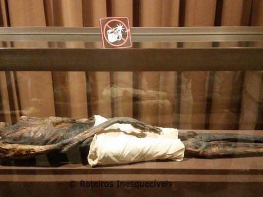 Museu Hermitage - Sao Petersburgo - Russia